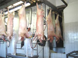 Frigoríficos em Catanduva