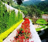 Paisagismo em Catanduva