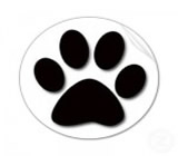 Pet Shops em Catanduva